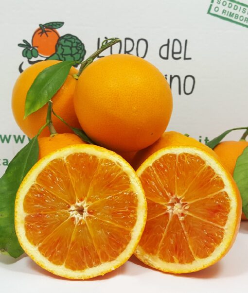 arancia tarocco di sicilia