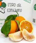 acquista arance di sicilia